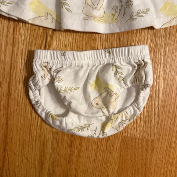 ABSOLUTELY PRECIOUS Baby Girl Easter Bunny Dress & Diaper Cover - Picture 3 of 9